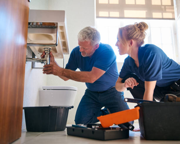 Best Plumbing Inspection Services  in Pine Grove, PA